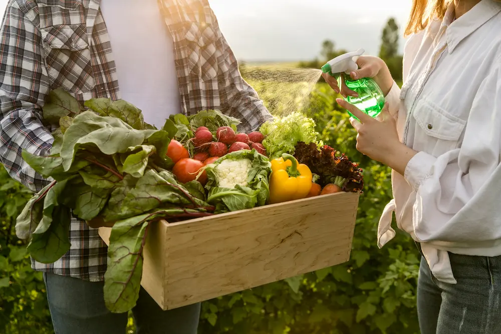 Alimentos orgânicos – Esclareça de vez suas dúvidas sobre o consumo de alimentos livres de agrotóxicos