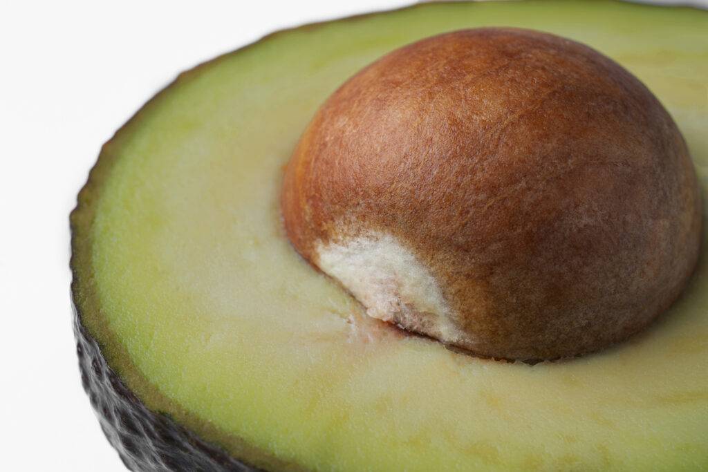 para-que-serve-o-caro&ccedil;o-de-abacate